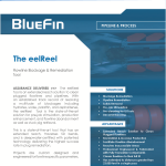 Pipeline & Process